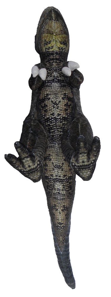 Texas Toy Distribution – wholesale Stuffed/plush toy – Kids & baby – Velociraptor 19.5" Plush Dinosaur Stuffed Animal3