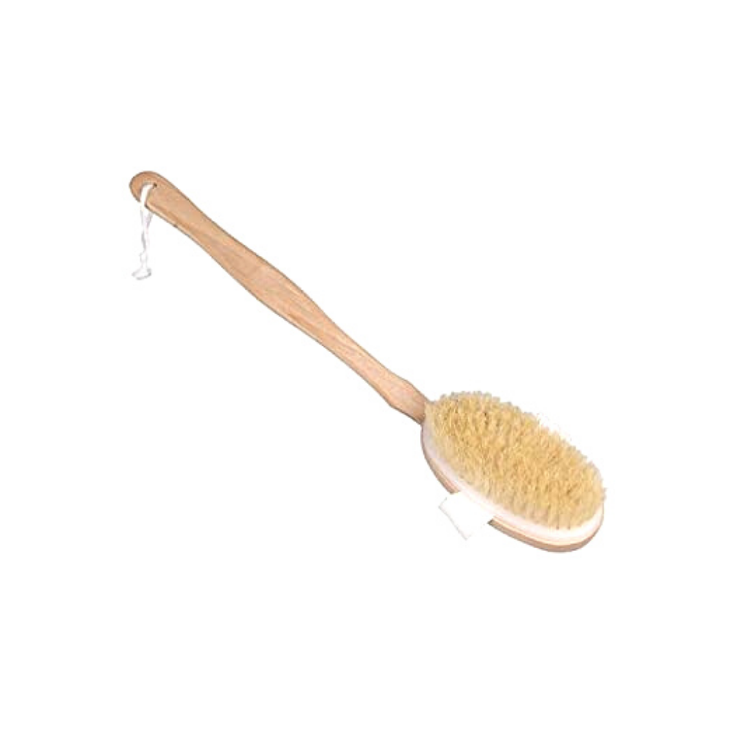 Kansa Organics - Wholesale Body Brush - Garshana Dry Brush (detachable 16" handle)2