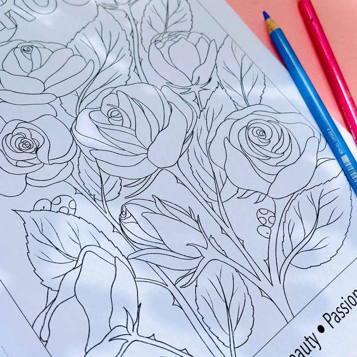Pixiecraft – wholesale Colouring and activity book – adult – Blooming Lovely: The language of flowers colouring book for adults3