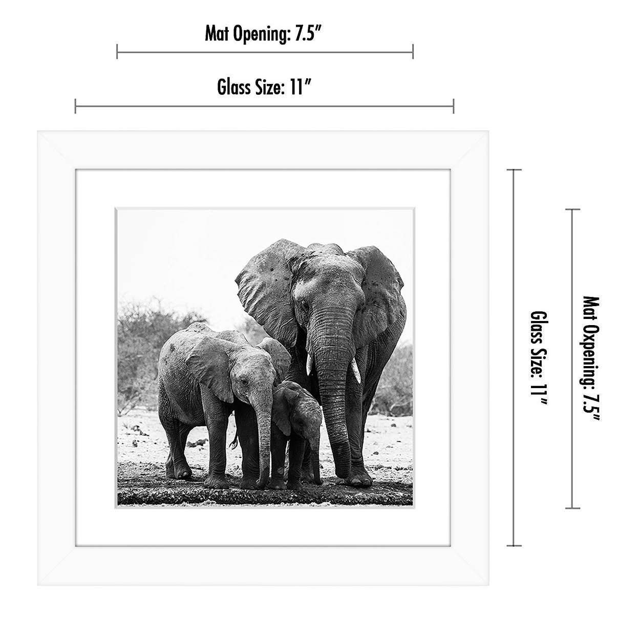 Americanflat - Wholesale Picture Frame - Americanflat Picture Frame with Mat Standard Molding138