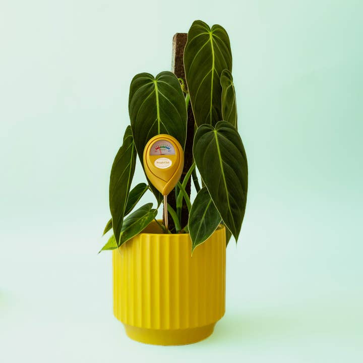 Jungle Club - Wholesale Garden tool - Moisture Meter | Green5