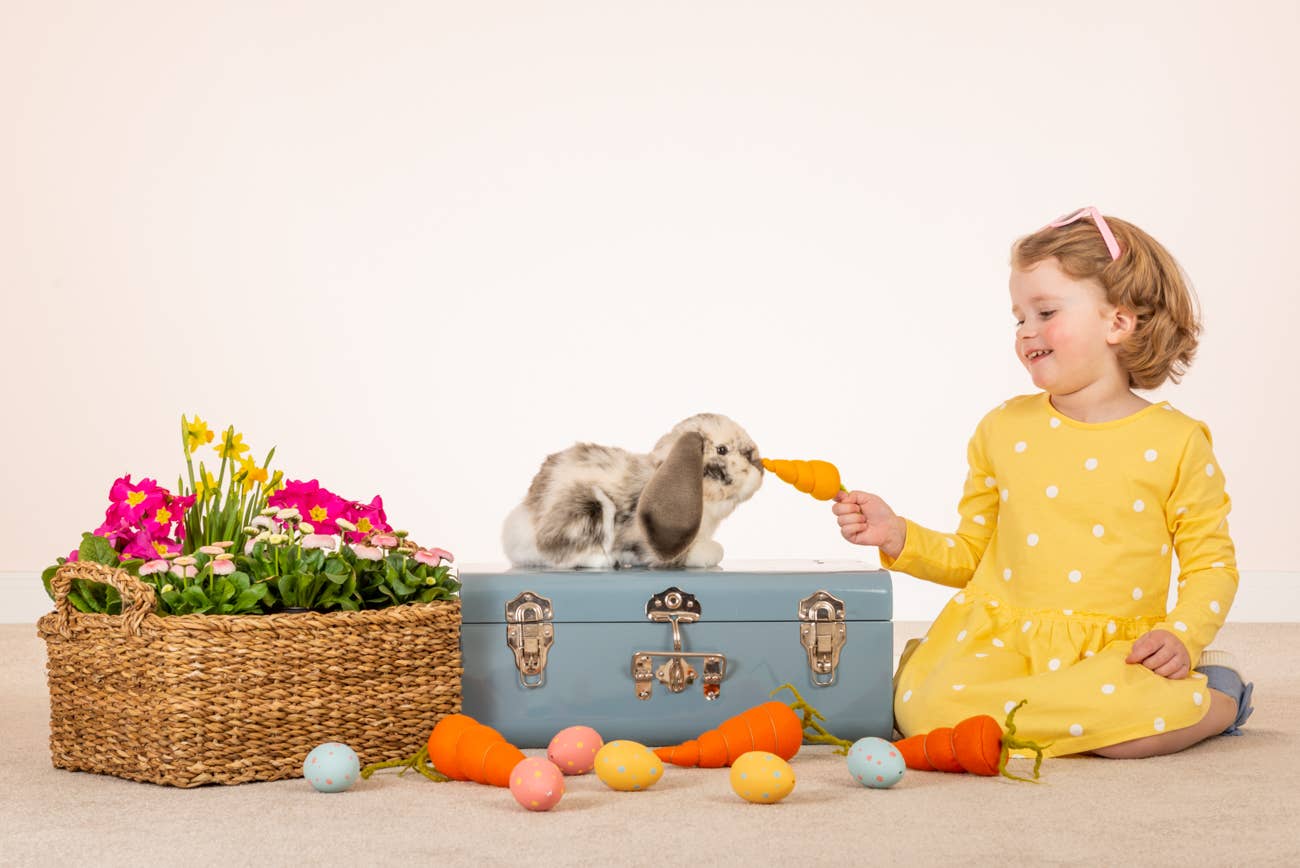 Teddy Hermann - Wholesale Stuffed/plush toy – Kids & baby - Ram rabbit grey white 30 cm - plush toy - soft toy1