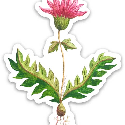 Tulip Design Company - Wholesale Sticker - Heliotrope Bloom Sticker1