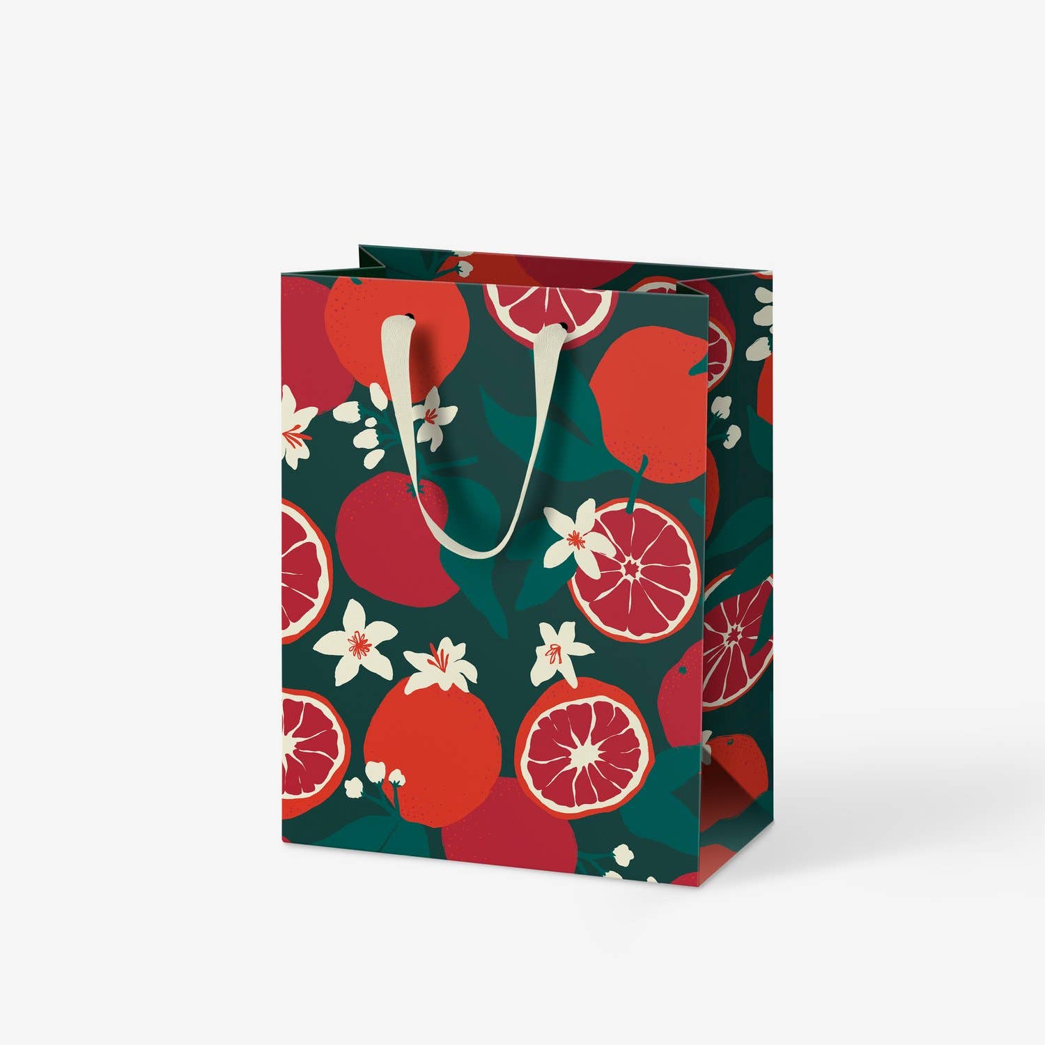 March Party Goods - Wholesale Gift Bag - Winter Zest Medium Gift Bag