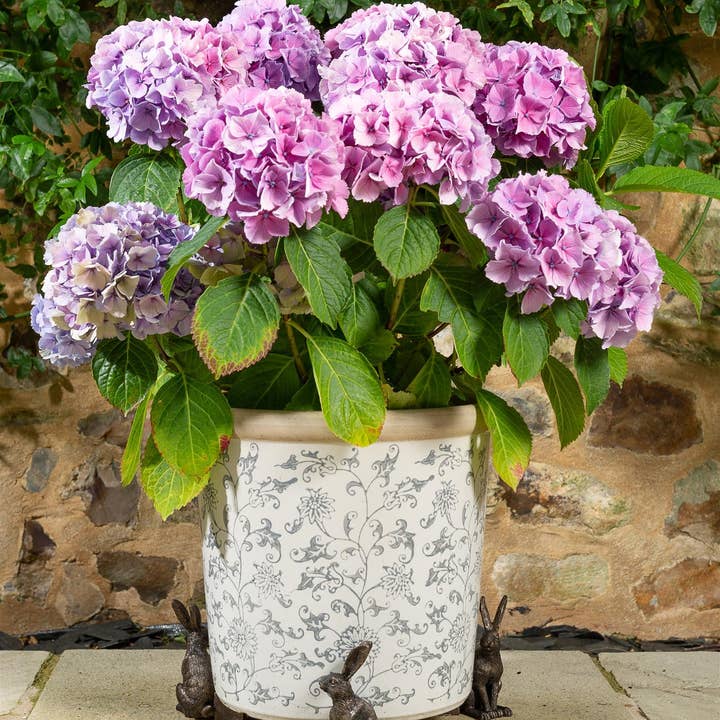 Lot de 3 pieds de pot de fleurs Lièvre vigilant pour la vente par Jardinopia UK