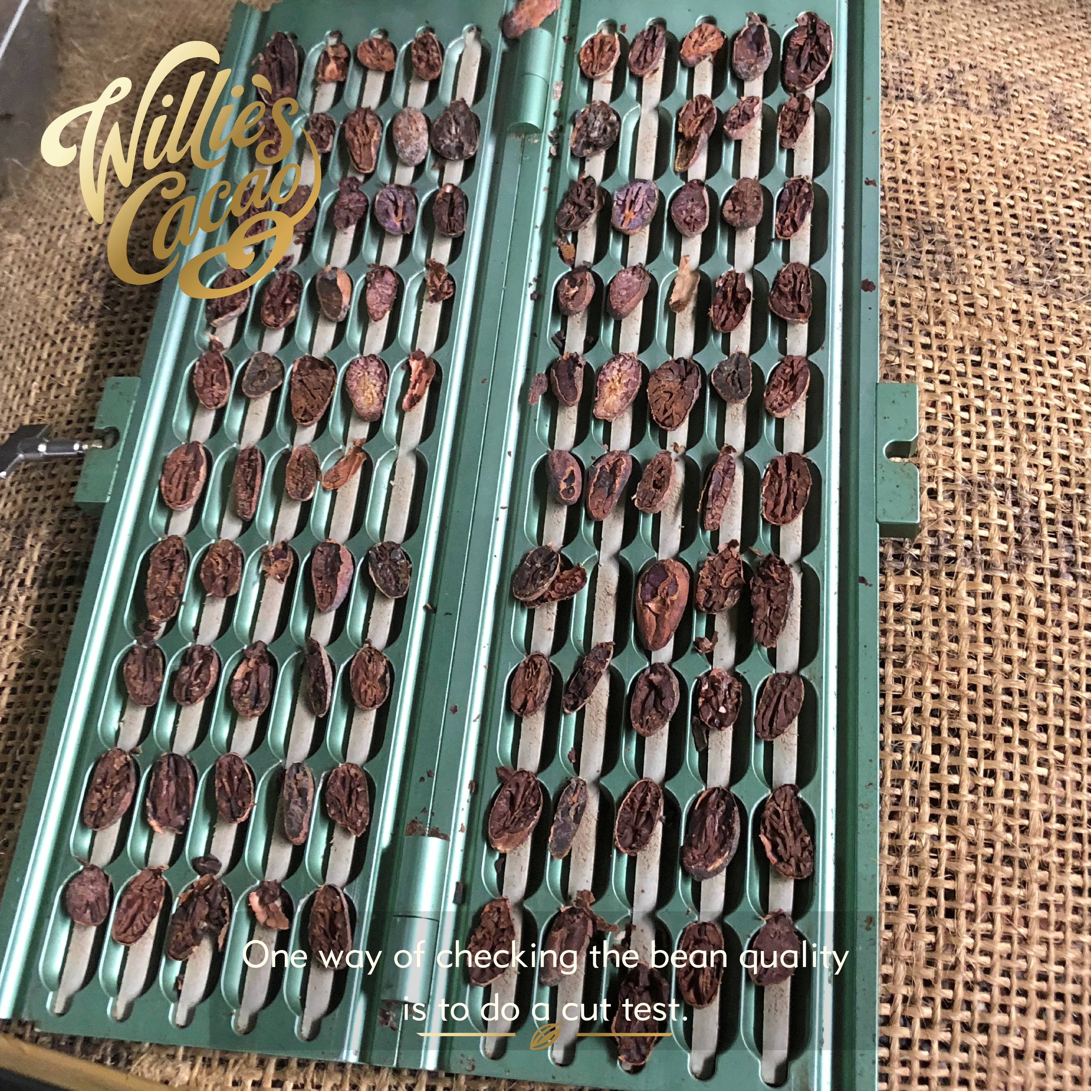 Willie's Cacao - Vente Barre chocolatée - Milk of the Gods - Chocolat au lait 44 % Rio Caribe, tablette de 26 g5