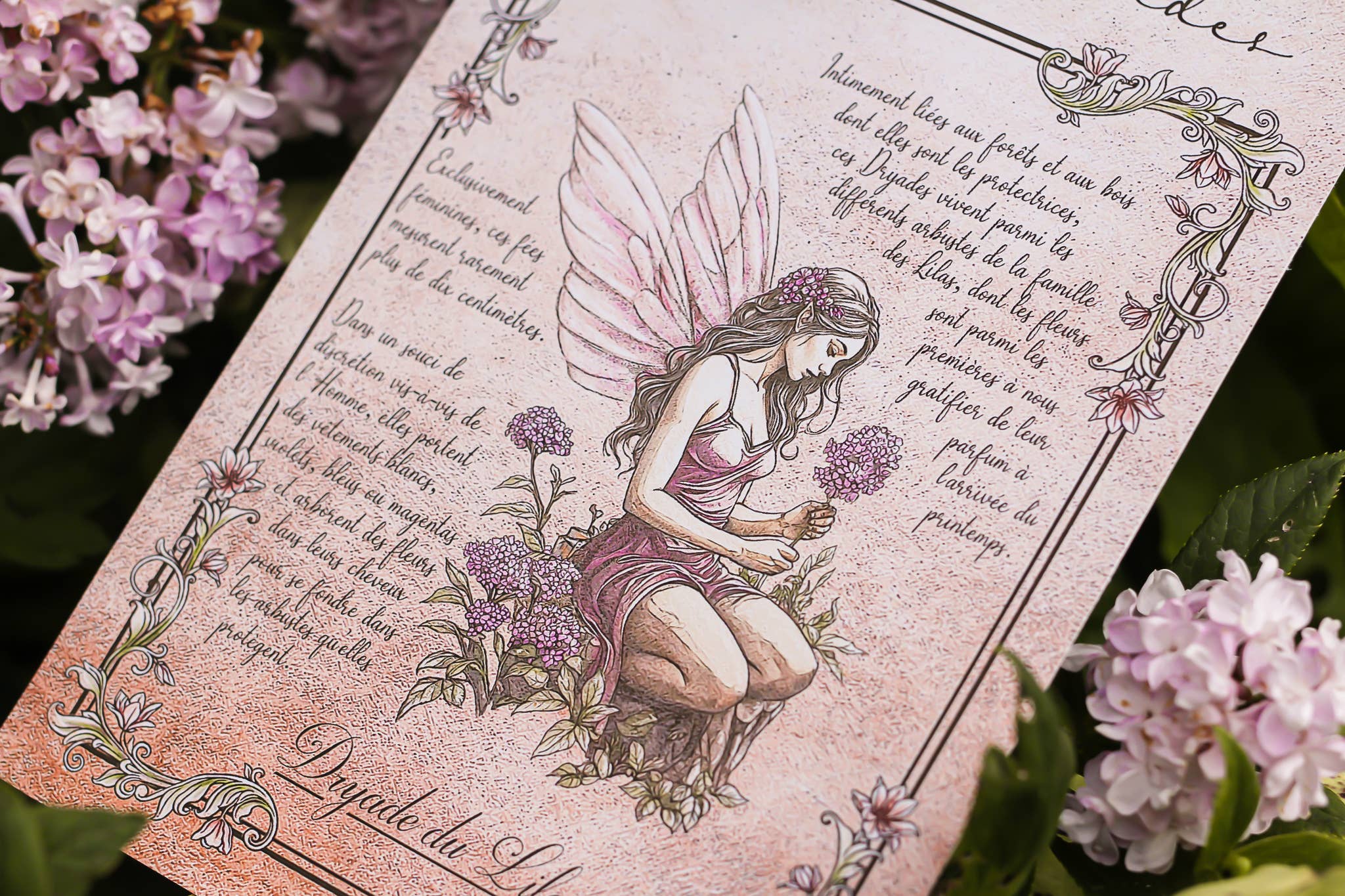 Faërie - Wholesale Art Print - Lilac Dryad1