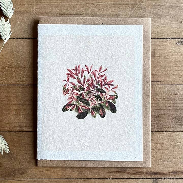 Dwarf Copperleaf handmade card for wholesale by Bat Flower Press