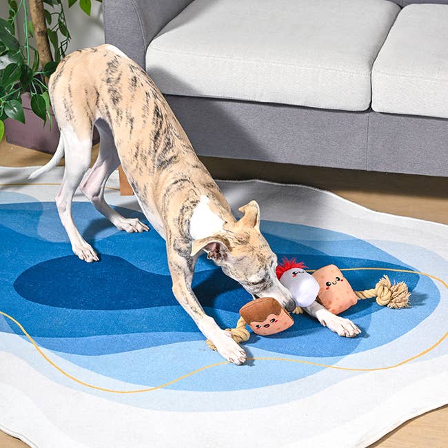 Hugsmart Products Inc - Wholesale Pet Rope Toy - Dog - HugSmart Pet - Camping Pups | S'mores Tug - Rope Toy3