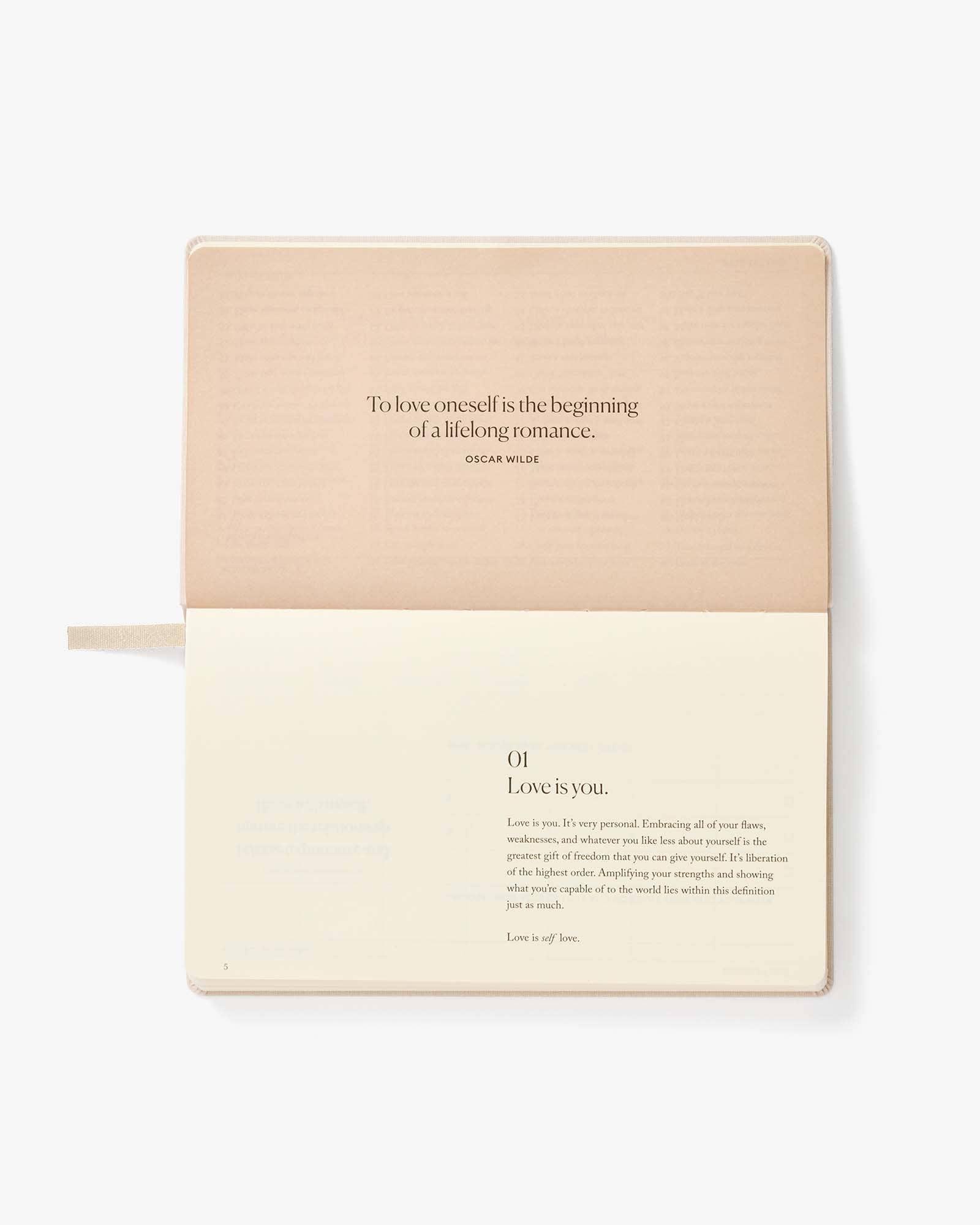 Intelligent Change - Wholesale Planner - The Weekly Love Planner - Daily Schedule, Self-Care, To-Dos1