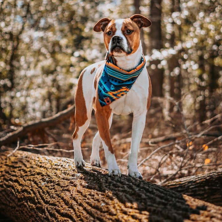 Aztec Sunset Bandana for wholesale by Wildhert Co