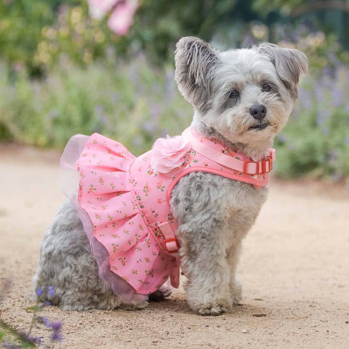 Blueberry Pet - Wholesale Pet Dress - Dog - 👗 6 Colors, 🌸Made Well Floral Dog Dress Harness