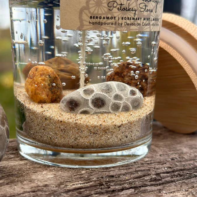 Devonian Coast - Wholesale Novelty Candle - Lake Michigan Petoskey Stone Gel Candle – Medium 6oz Wax2