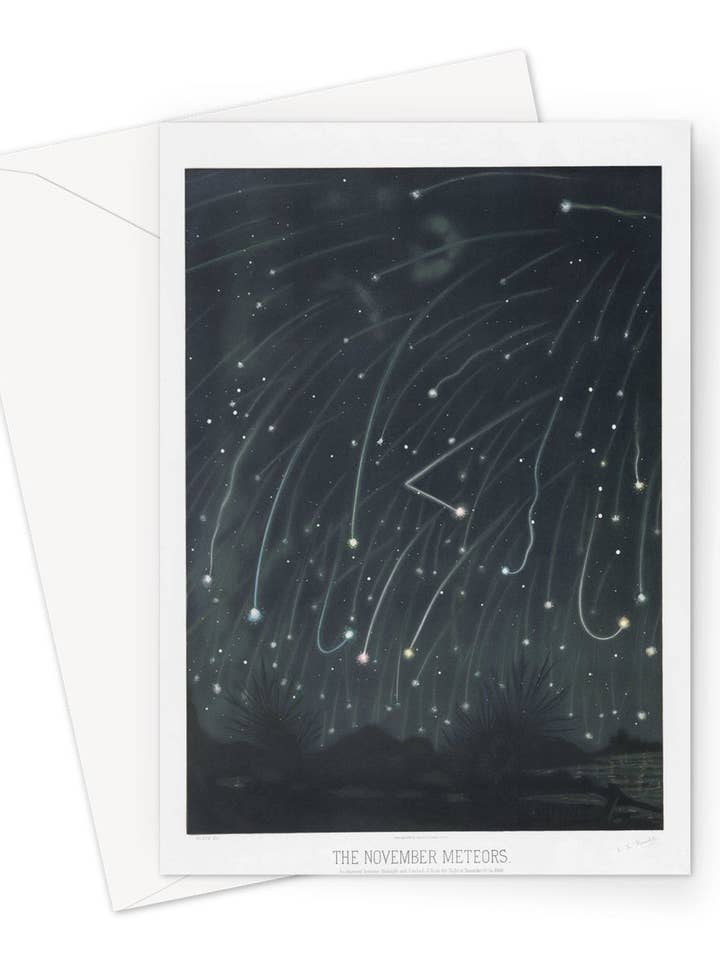 The November Meteors by E.L. Trouvelot, 1868 - Greeting Card for wholesale by Flashback Shop