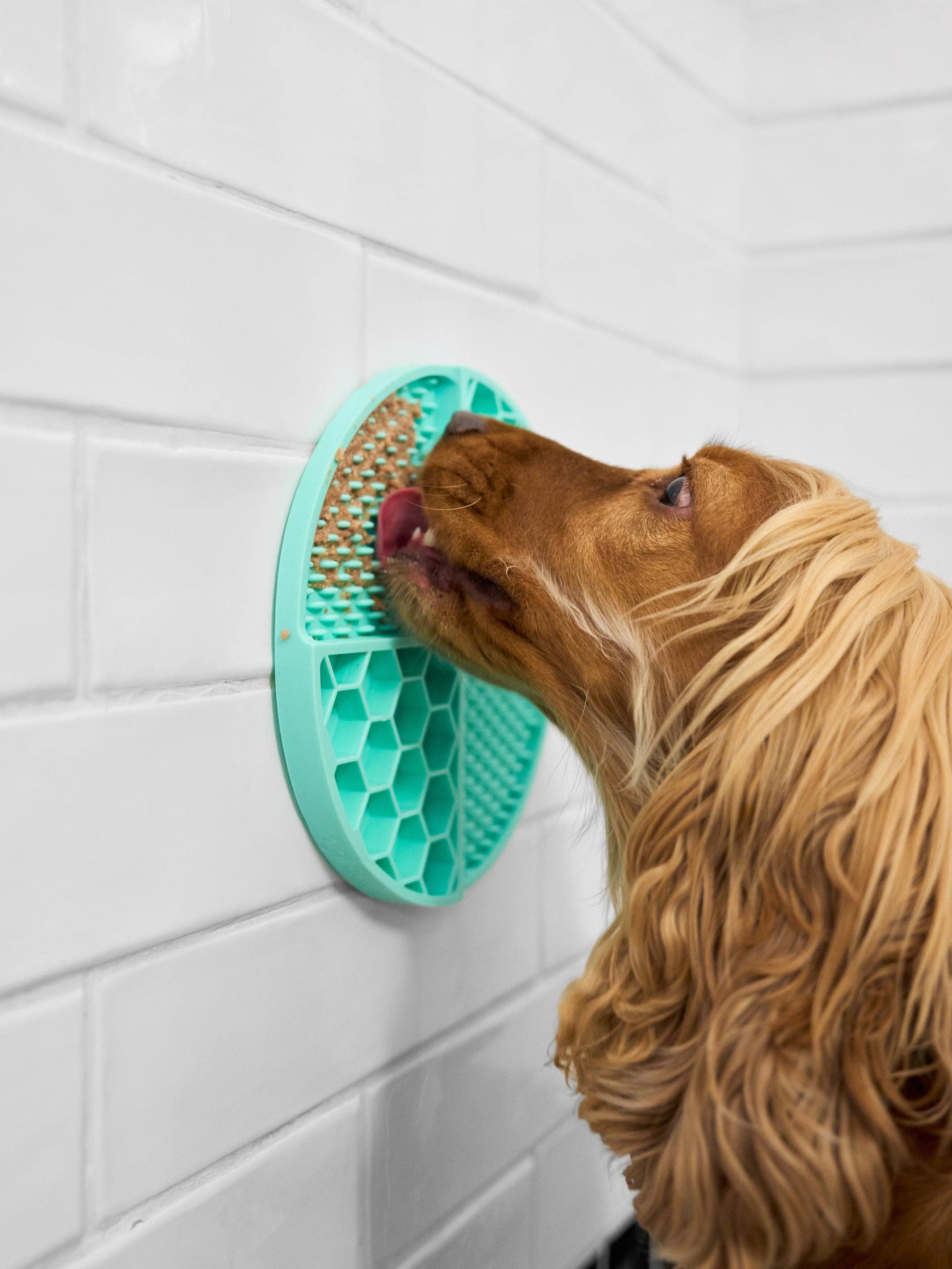 Dukier - Wholesale Pet Food Mat - Dog - DOG LICK MAT MINT3