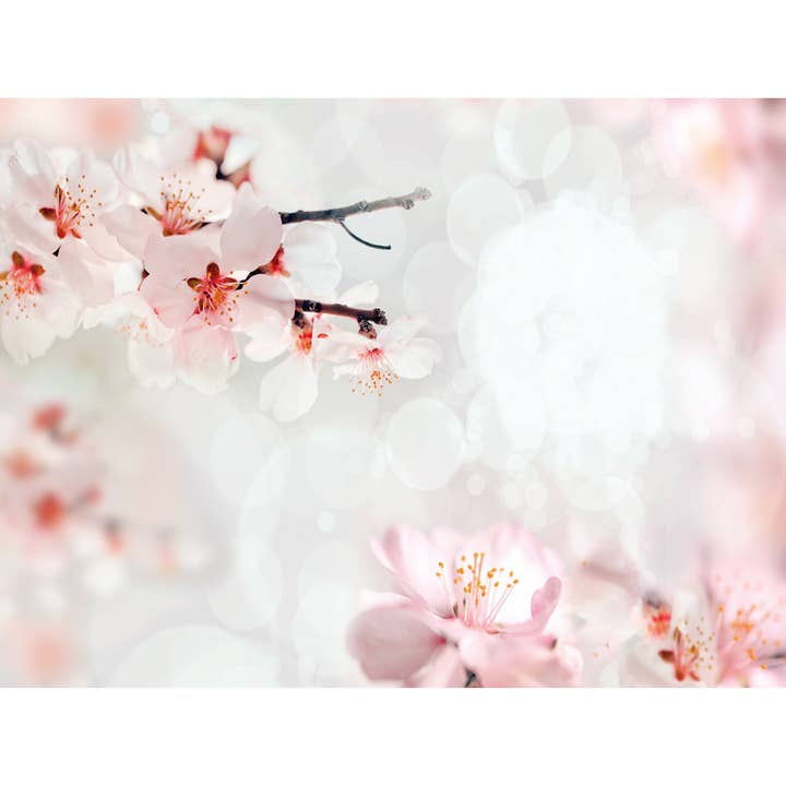 Magnetisk markeringstavla - Lili för wholesale av Queence