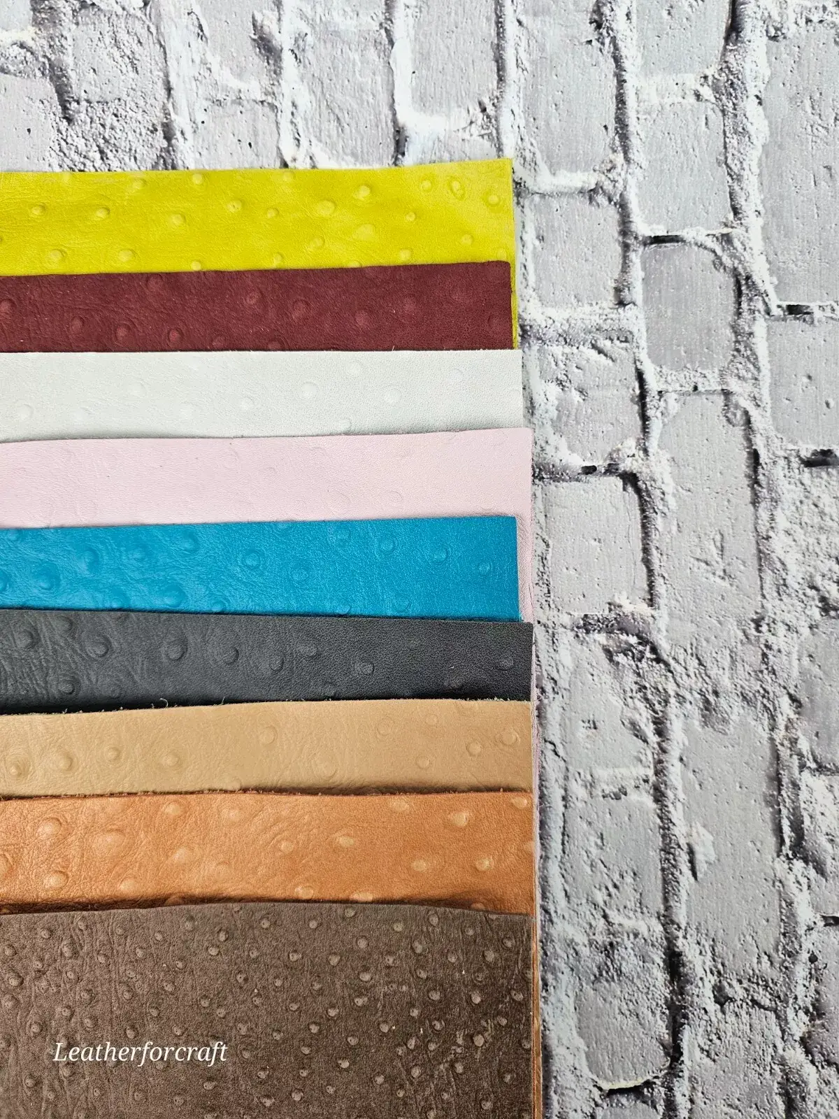 Leatherforcraft - Wholesale Craft Supplies - Ostrich Embossed Leather Scraps Pack Small Size1