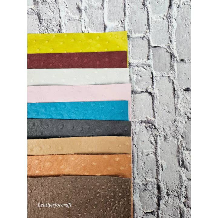 Leatherforcraft - Wholesale Craft Supplies - Ostrich Embossed Leather Scraps Pack Small Size1