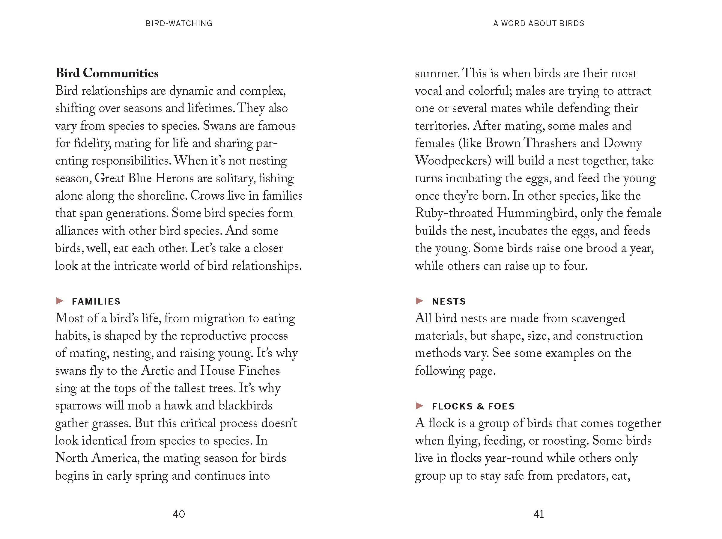 Chronicle Books - Wholesale Nature & Outdoors Book - Pocket Nature: Bird-Watching3