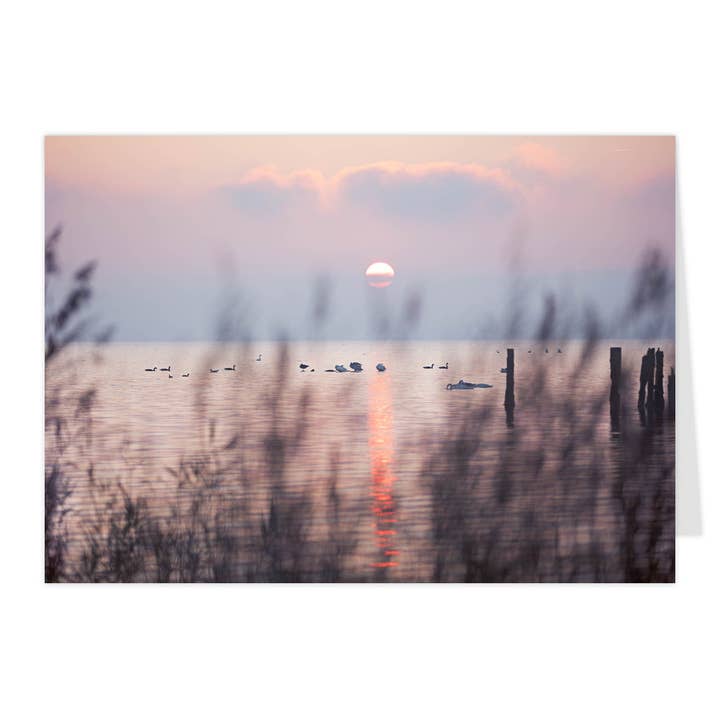 Carte pliable "Oiseaux aquatiques au crépuscule" pour la vente par paruspaper. nutzfeine papeterie