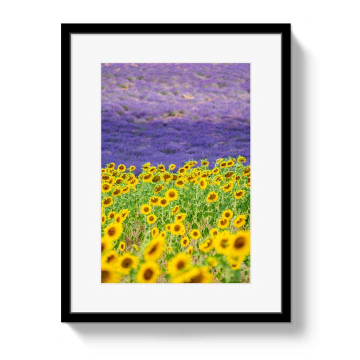 Sun and Lavender for wholesale by Johnny Vacay