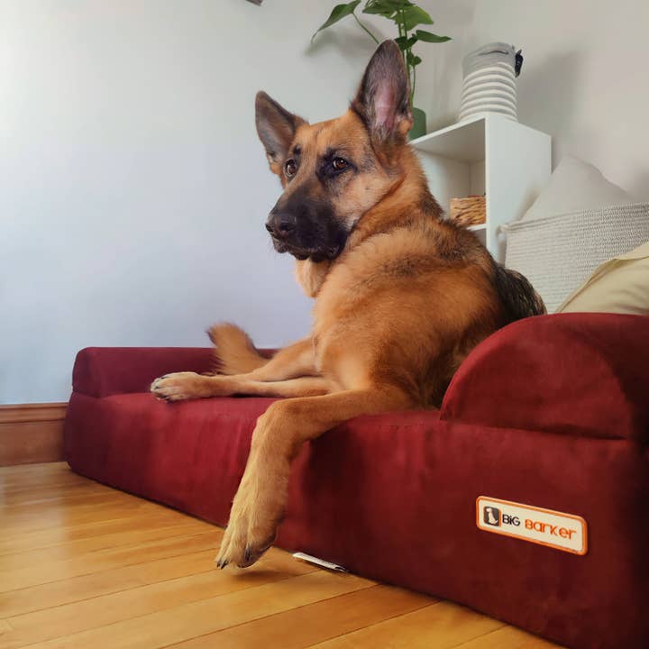 Barker Beds - Vente Panier – chien - Lit orthopédique pour chien 7" - Édition canapé15