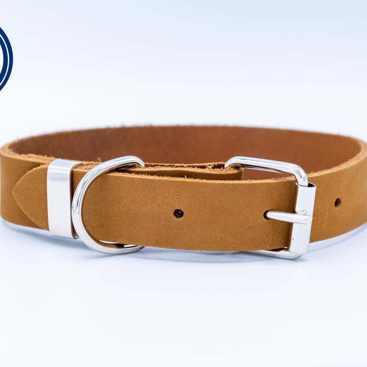 Euro-Dog Collars and Leads – Großhandel Haustierhalsband – Hund – Lederhundehalsband Weicher Zen-Stil Stahlverschluss1