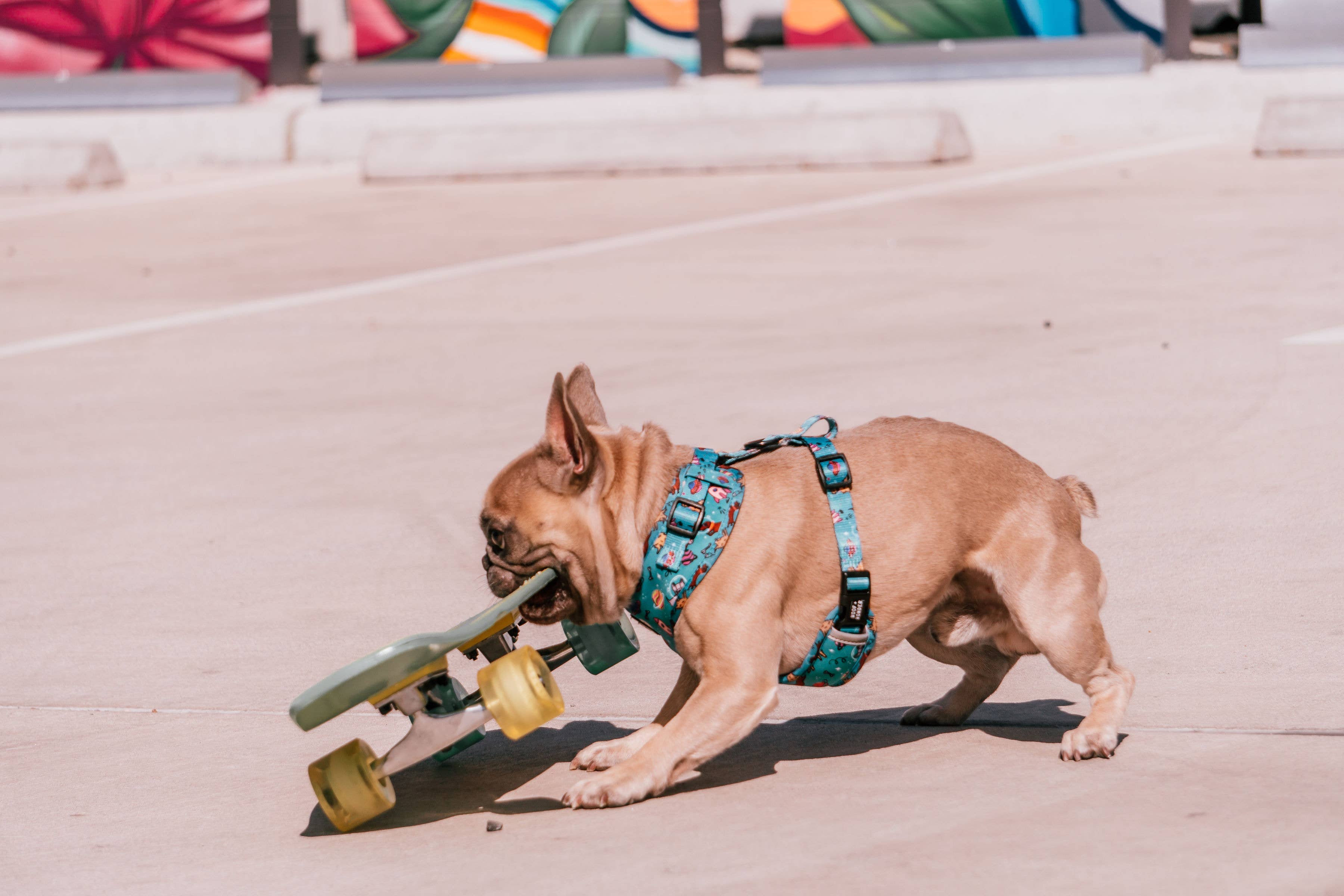 Woof & Wonder - Wholesale Pet Harness - Dog - Blue Dogs in Outer Space Adjustable Dog Harness4