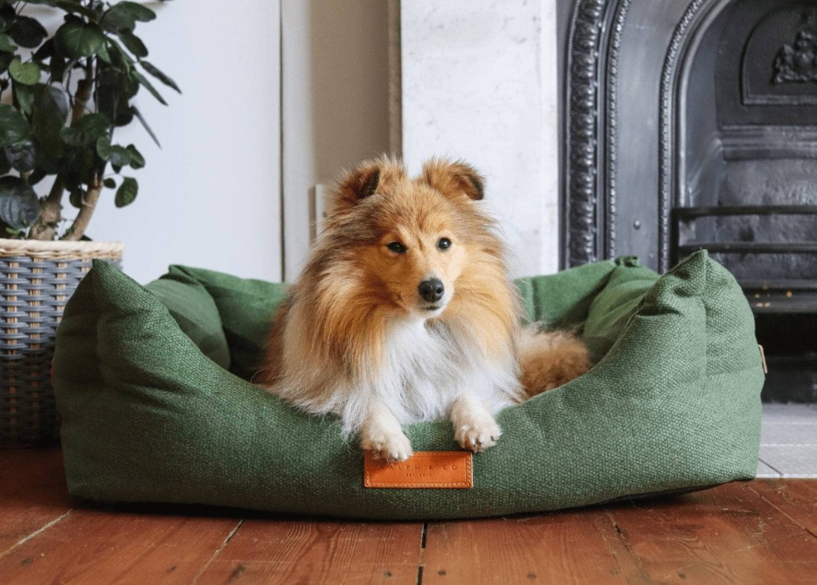 Ralph & Co – wholesale Husdjursbädd – Hund – Lyxig grön hundbädd med avtagbara överdrag | Richmond1