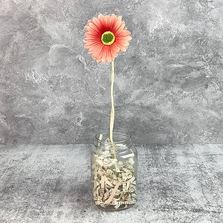 Short Faded Pomegranate Gerber Daisy for wholesale by Honey and Me