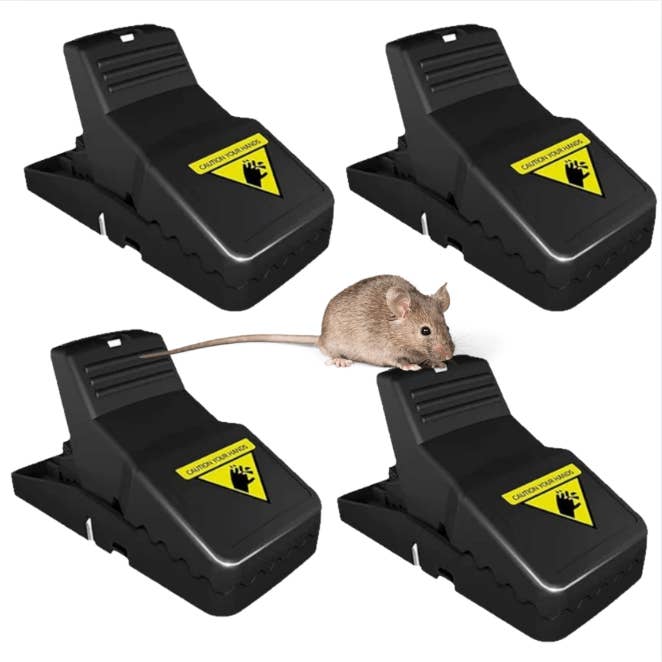 Generise Mouse Trap 4 Pack - Say Goodbye to Your Rodent Problem! and other Purchase Wholesale mouse traps. Free Returns & Net 60 Terms on Faire trending on Faire.
