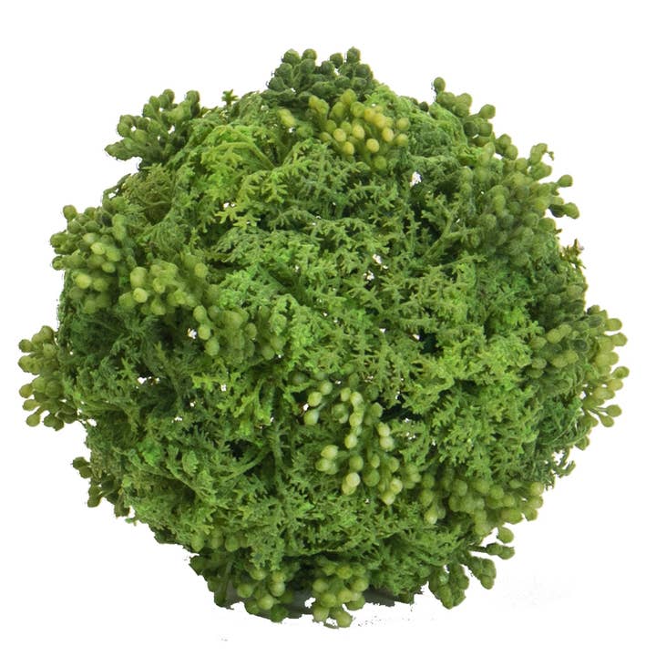 5" Water Grass Berry Ball Green for wholesale by A&B Home Group Inc.