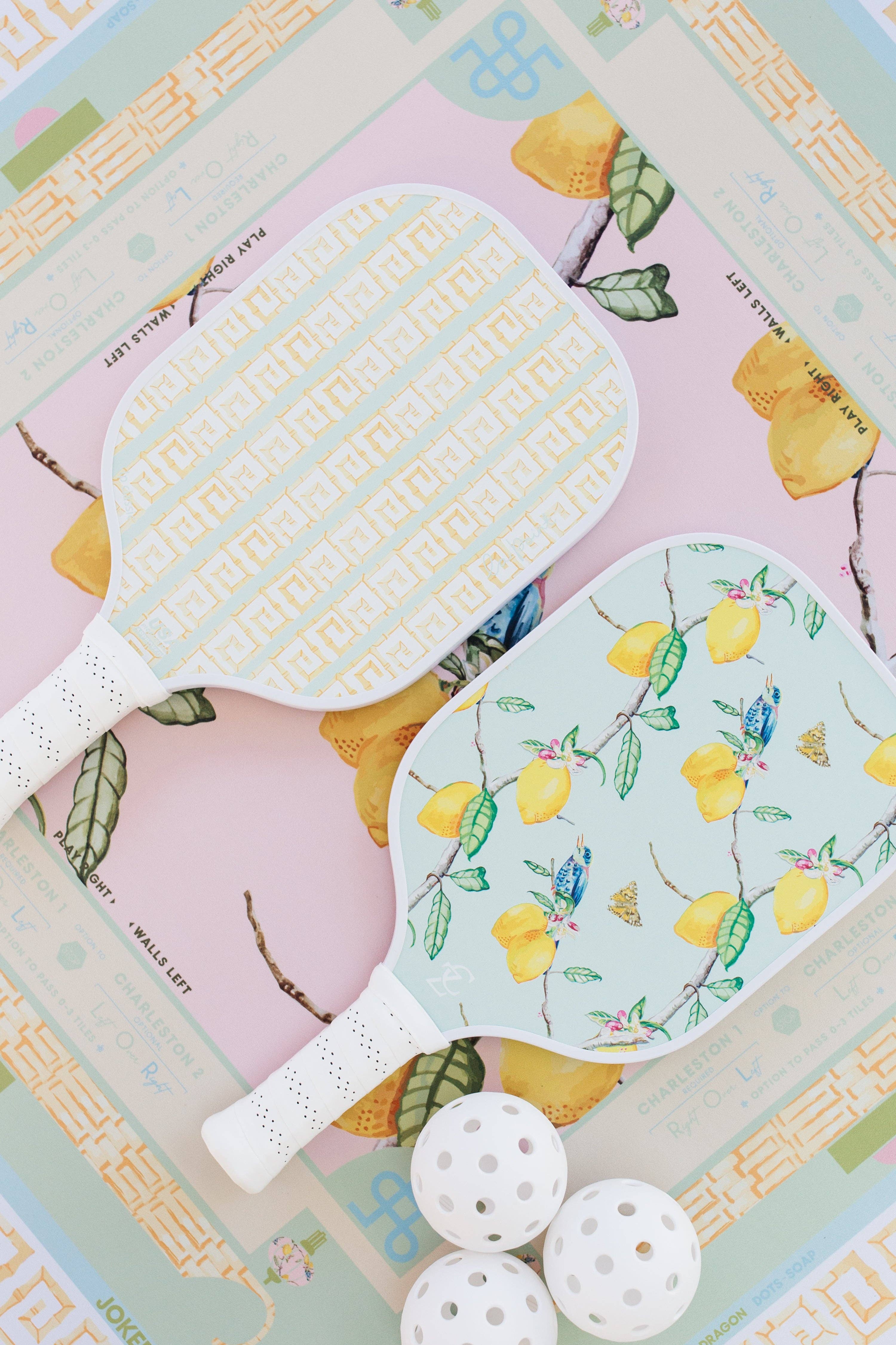 la point - Wholesale Sporting Accessories - la point + Coco Zentner citrus songbird pickleball paddle1