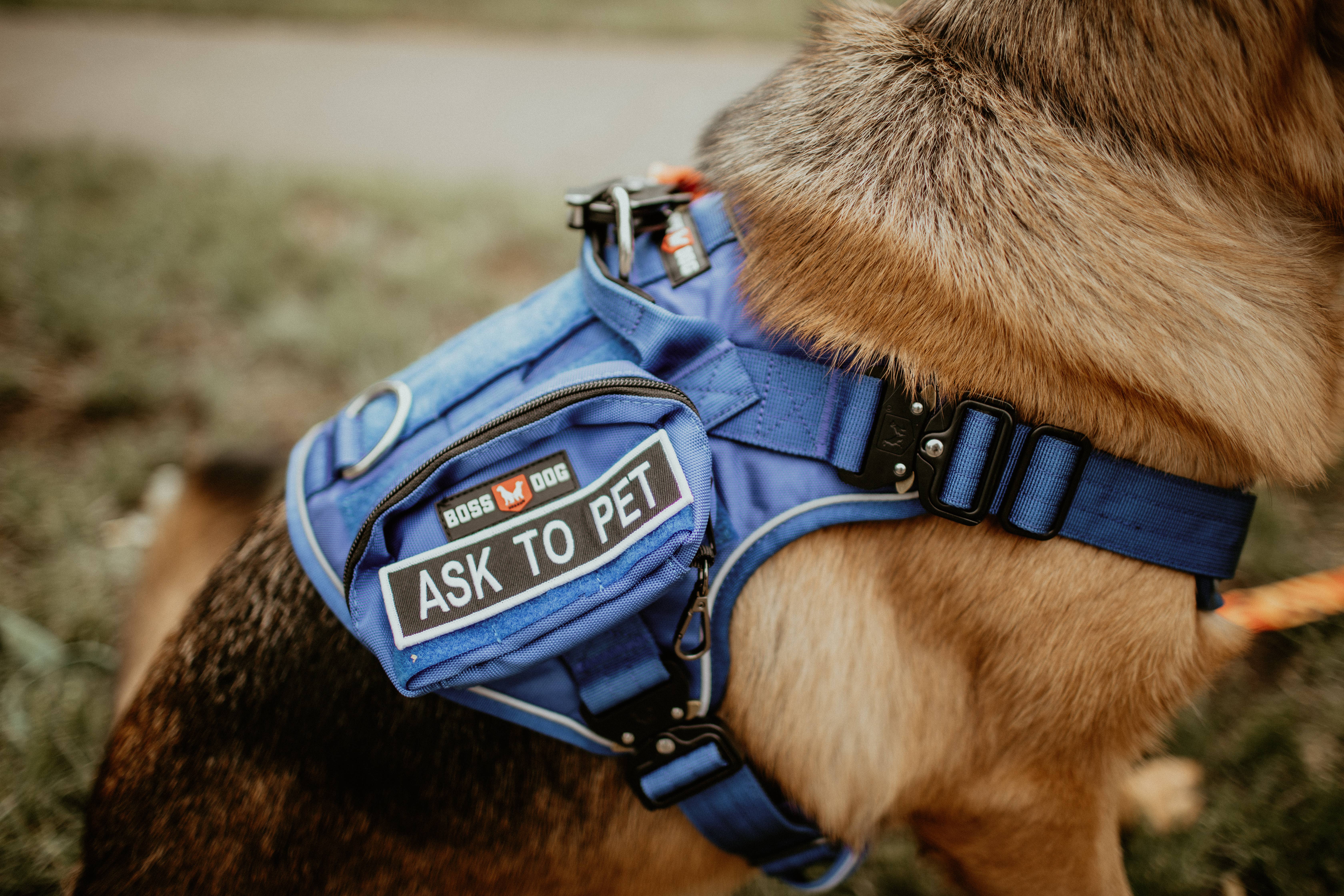 BOSS DOG BRAND, INC. - Wholesale Pet Harness - Dog - Boss Dog Harness15