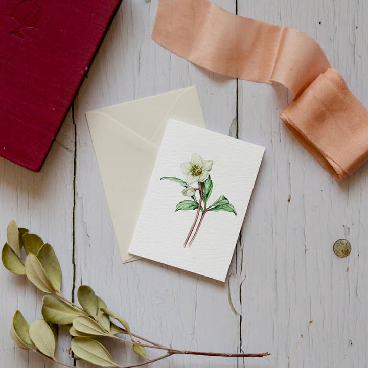 Sophie Brabbins - Wholesale Everyday Greeting Card - Mini Hellebore Watercolour Sustainable Greetings Card1