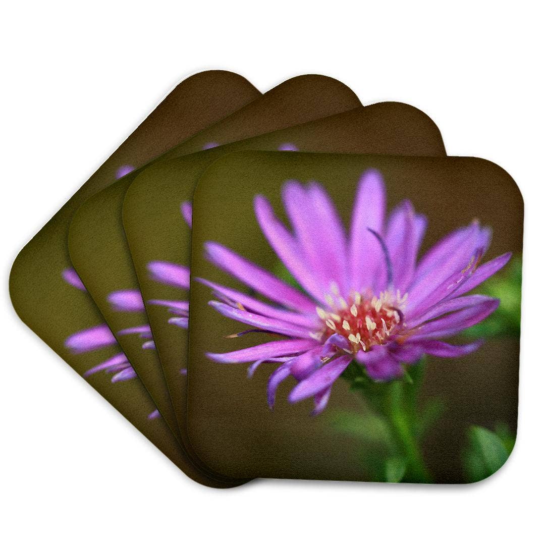 3dRose - Wholesale Coasters - 3dRose, A macro photograph of a single purple aster flower., Coaster7