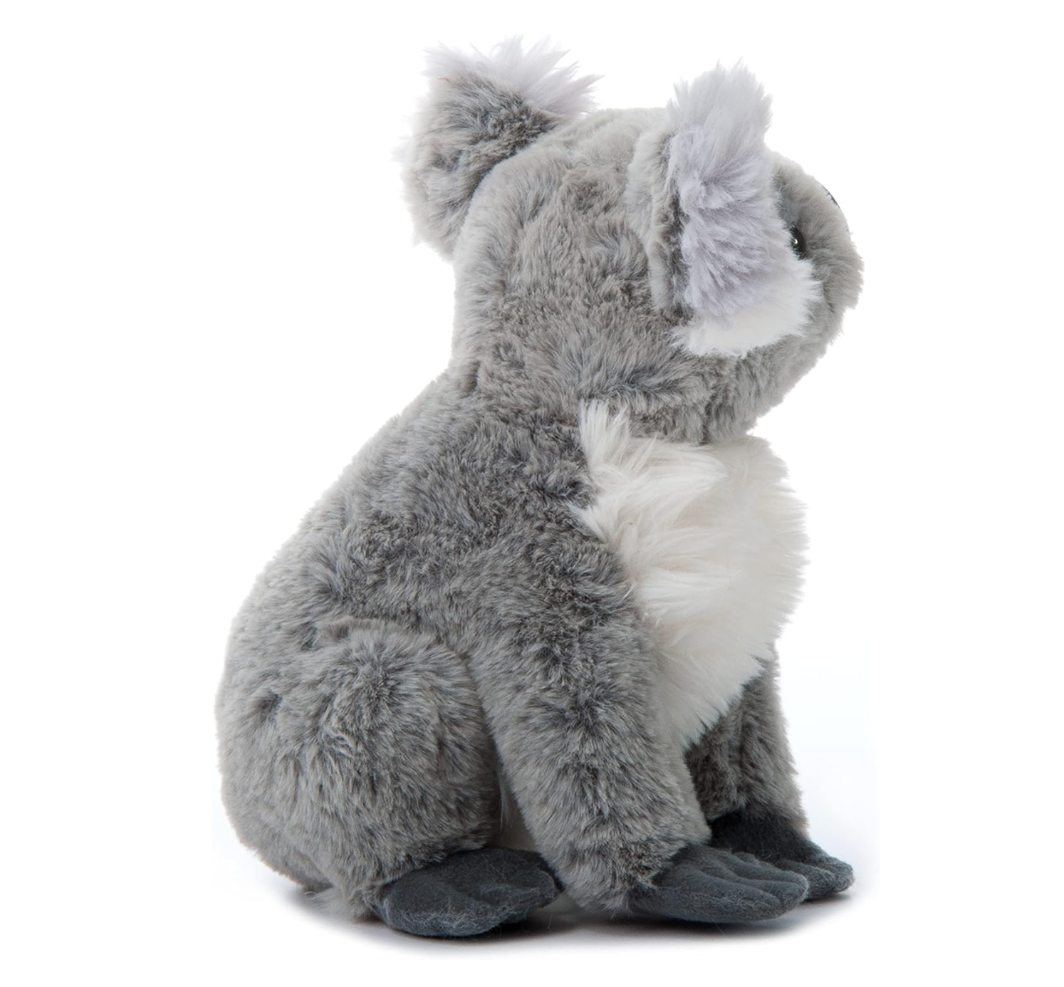 The Petting Zoo – Engroshandel Plyslegetøj - Børn og baby – 12" (26 cm) Wild Onez Koala Bamse Plysdyr6