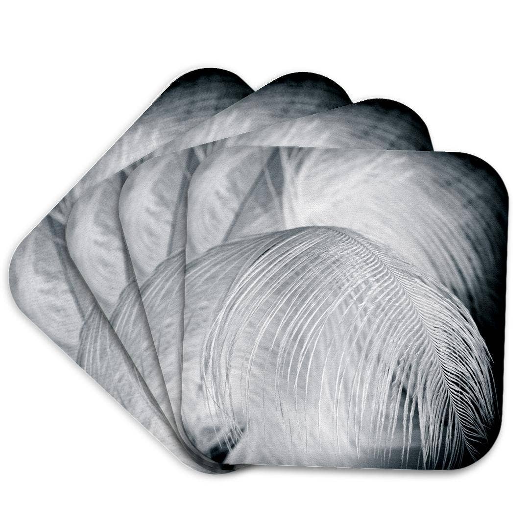 3dRose - Wholesale Coasters - 3dRose, Ostrich feathers in black and white, Coaster7