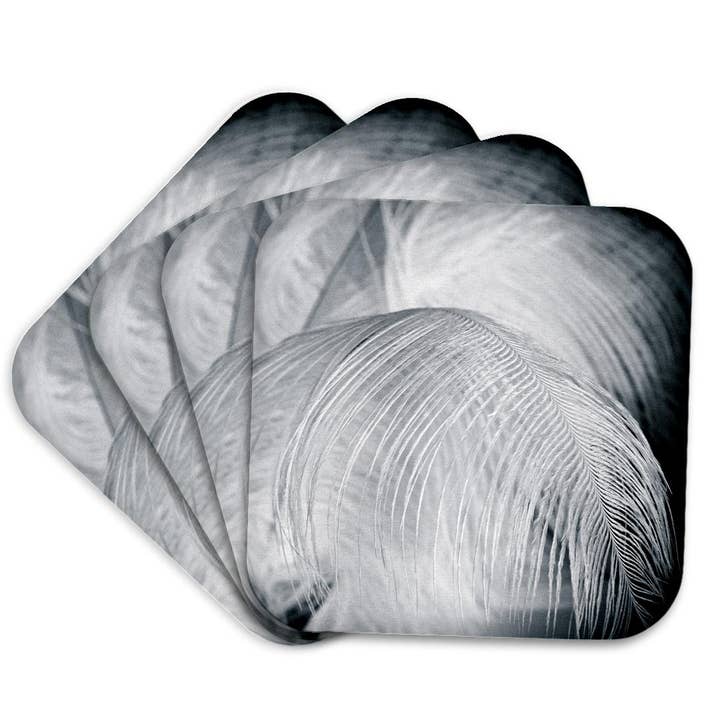 3dRose - Wholesale Coasters - 3dRose, Ostrich feathers in black and white, Coaster7