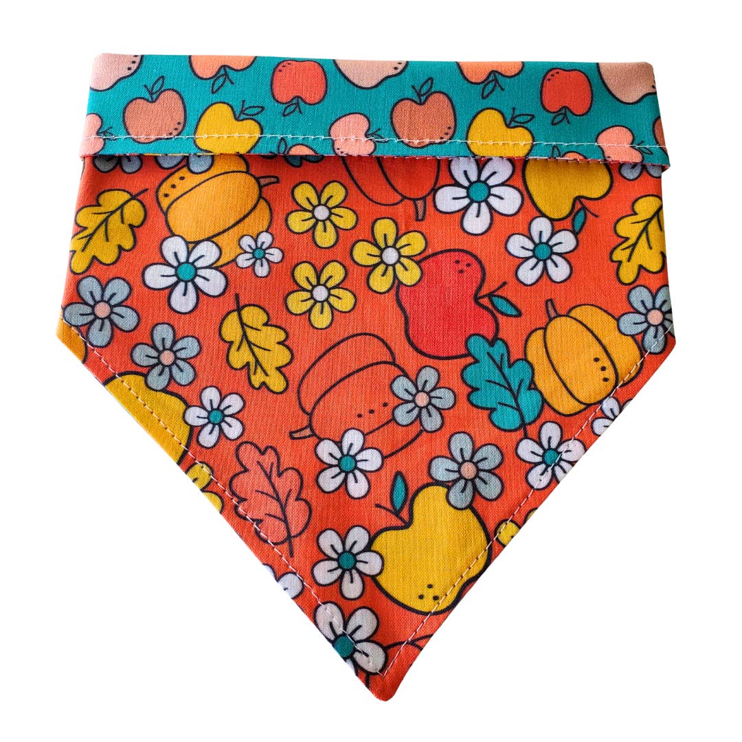 Charlie & the Hound - Wholesale Pet Bandana - Dog - Fall Apple & Pumpkin - Reversible Dog Collar Bandana