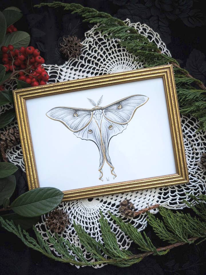 Luna Moth- Embellished Framed Print for wholesale by Studio Umbralux