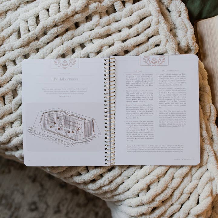 The Daily Grace Co - Wholesale Book - Adult - Jesus is Better: Living for the One Who is Worthy | A Study on the Book of Hebrews