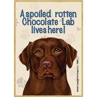 A spoiled rotten Chocolate Lab lives here! wood magnet. for wholesale by SJT Enterprises, Inc.