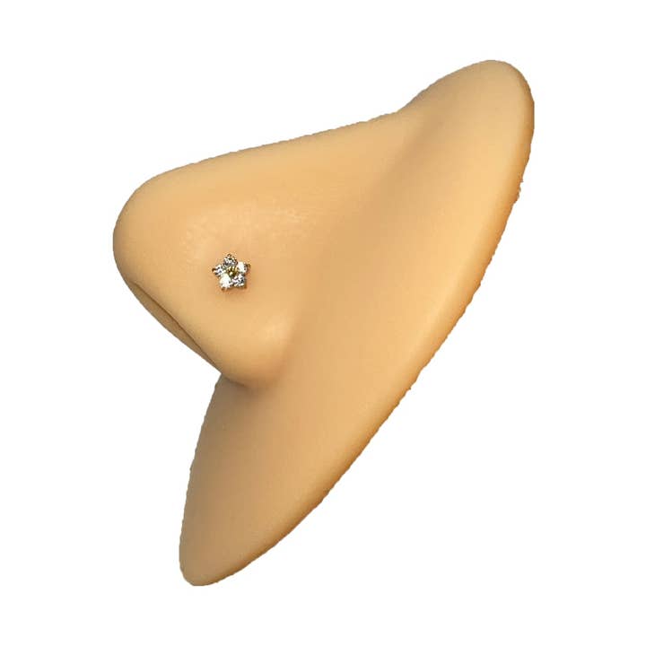 Schmuckgroßhandel - Wholesale Nose Ring - Flower Nose Plug | Titan3