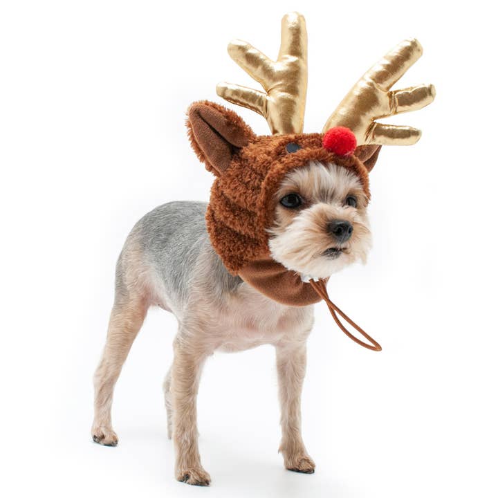 Dogo Pet - Wholesale Pet Hat - Dog - Rudolph Hat1