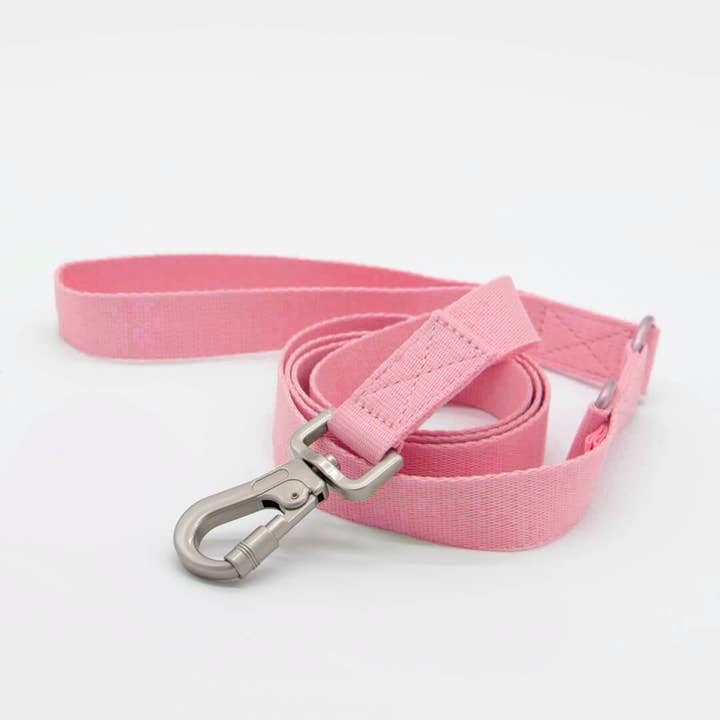 Qisu – Großhandel Leine – Hund – Leine mit fester Länge | Hug Leash3