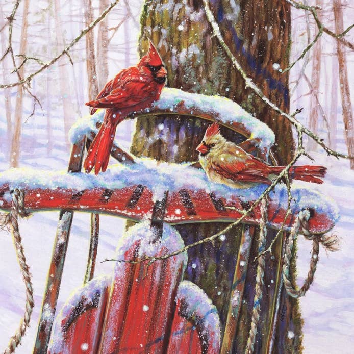 SDR33004 | Stampa d'Arte di Cardinali su Slitta per la vendita all'ingrosso da parte di Roslyn Décor