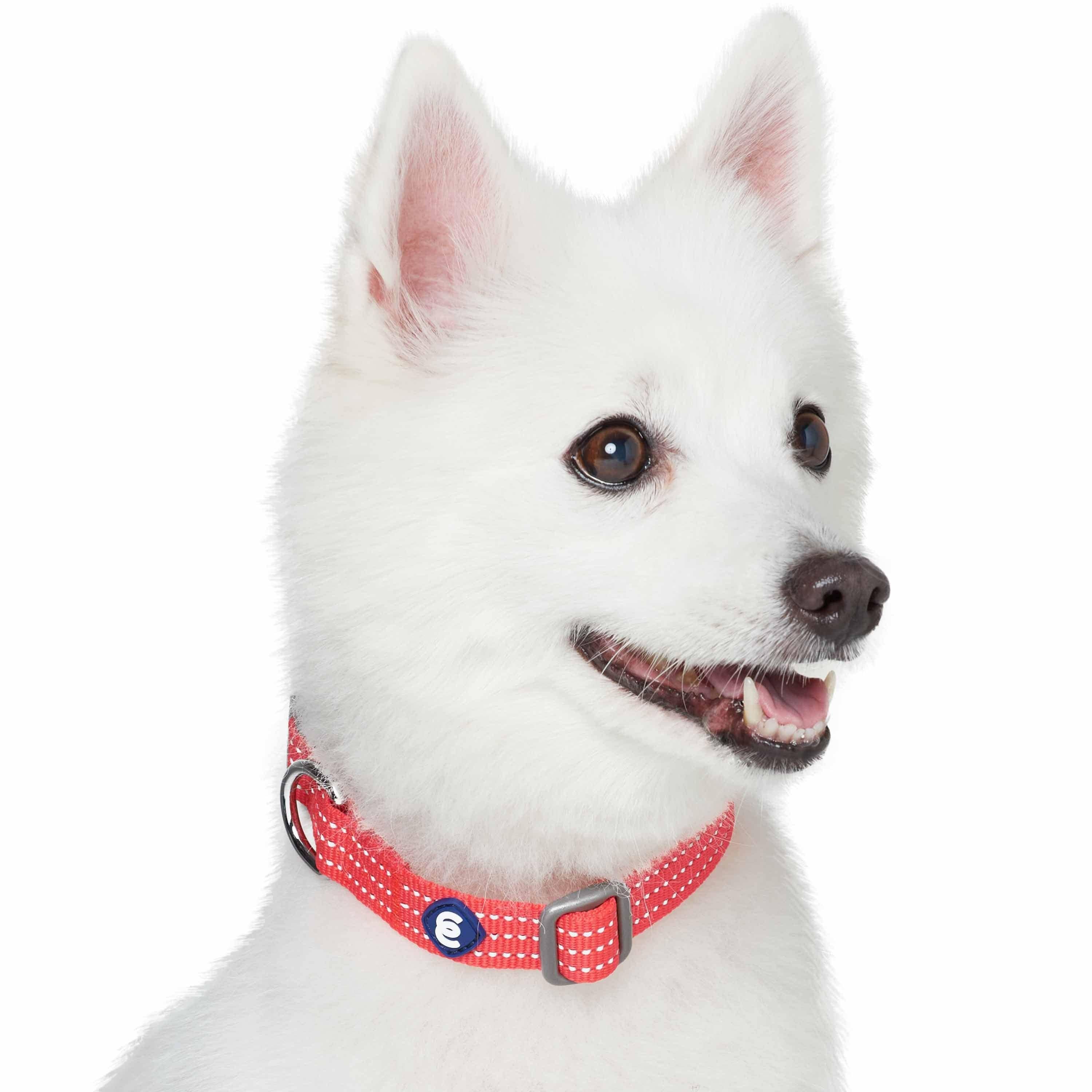 Blueberry Pet - Venta al por mayor Collar - Perros - Collar reflectante para perros Better Basic en 8 colores2