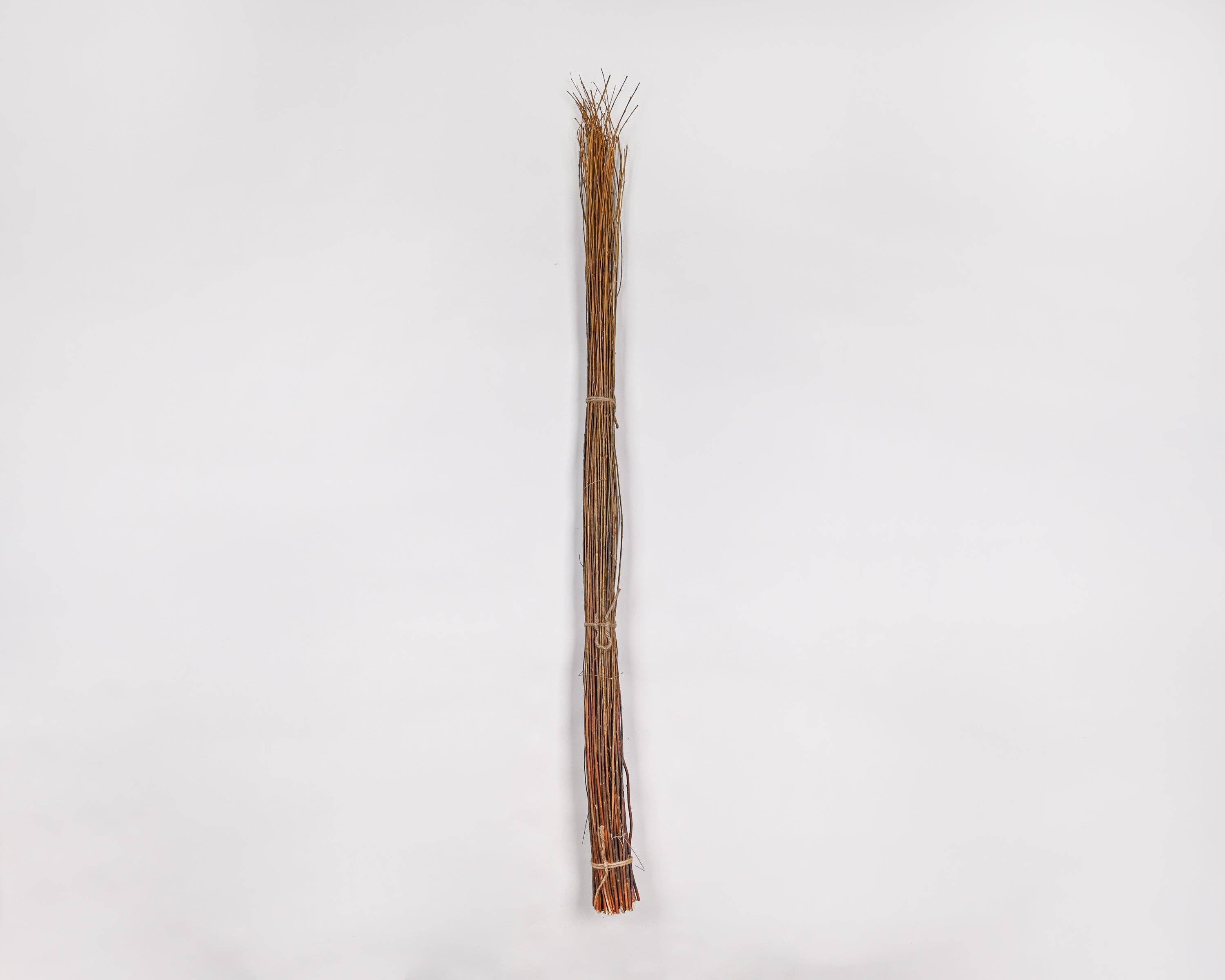 Dried Decor - Wholesale Dried/Pressed Flowers - Asian Willow Branches Natural | 8 Bunches | Natural Light Brown2