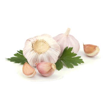 Cotswold Gold - Vente Mayonnaise - Mayonnaise à l'ail Cotswold Gold4